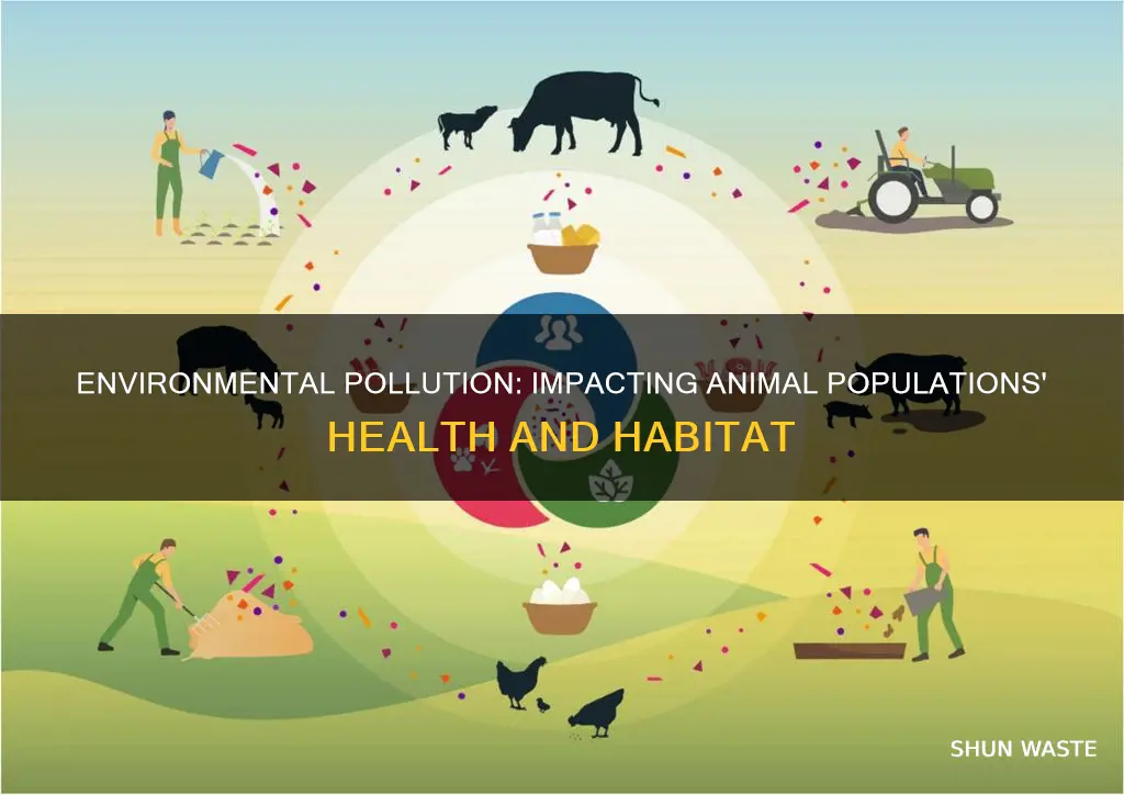 how does environmental pollution affect animal populataion