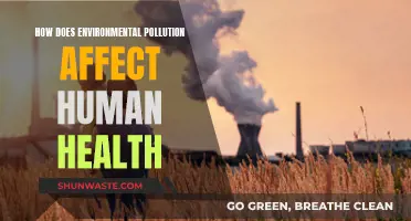 Environmental Pollution: Harming Human Health and Wellbeing