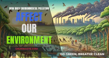 Environmental Pollution: Impacting Our World and Future