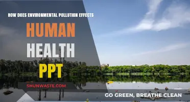 Environmental Pollution: Harming Human Health