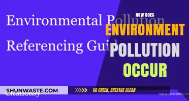 The Earth's Pollution: Human Impact and Causes