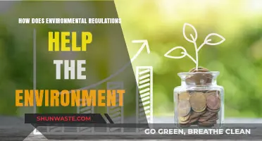 Environmental Regulations: Protecting Ecosystems, Reducing Pollution, and Ensuring Sustainability