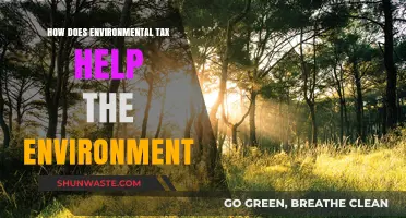 Environmental Tax: A Powerful Tool for Sustainable Change and Conservation