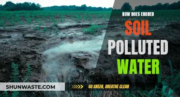 Soil Erosion's Impact: Polluted Water's Journey