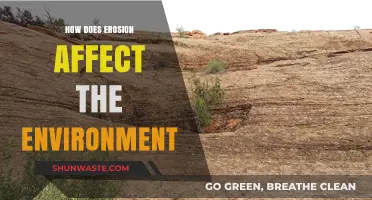 Erosion's Impact: How Soil Loss Threatens Ecosystems and Landscapes
