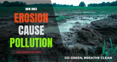 Erosion's Impact: How Soil Loss Fuels Environmental Pollution