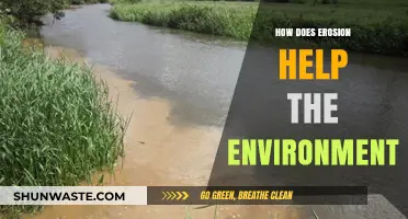 Erosion's Surprising Benefits: Shaping Ecosystems and Sustaining Life Naturally