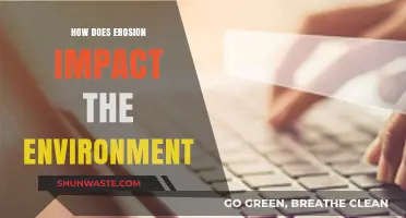 Erosion's Environmental Impact: Land, Water, and Ecosystem Consequences Explained