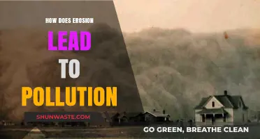 Erosion's Pollution: The Unseen Environmental Impact
