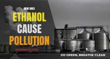 Ethanol's Environmental Impact: Unveiling the Hidden Pollution Sources