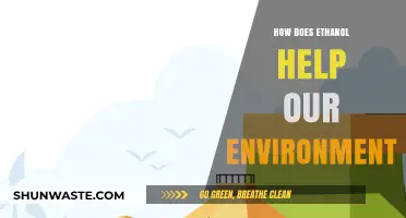 Ethanol's Eco-Friendly Impact: Reducing Emissions and Promoting Sustainability