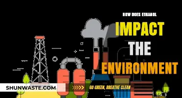 Ethanol's Environmental Impact: Benefits, Drawbacks, and Sustainability Concerns