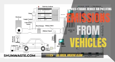 Ethanol's Role in Reducing Vehicle Air Pollution