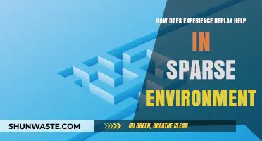 Experience Replay: Boosting Learning in Sparse Reward Environments