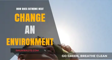Extreme Heat's Impact: Transforming Ecosystems and Shaping Environments