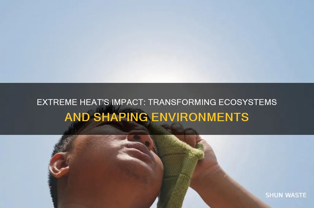 how does extreme heat change an environment