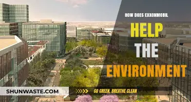 ExxonMobil's Environmental Initiatives: Sustainable Practices and Green Innovations