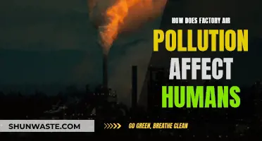 Air Pollution's Human Cost: Factory Emissions' Impact