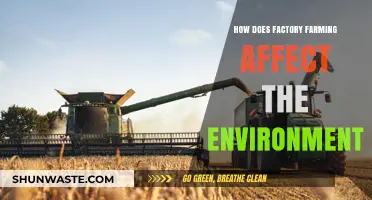 Factory Farming's Environmental Impact: Pollution, Deforestation, and Climate Change
