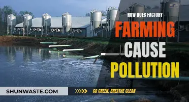 Factory Farming's Environmental Impact: A Deep Dive into Pollution