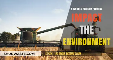 Factory Farming's Environmental Toll: Pollution, Deforestation, and Climate Crisis