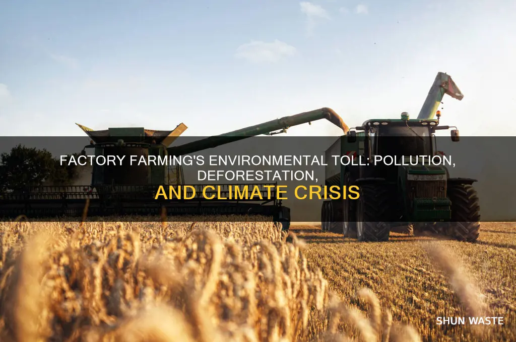 how does factory farming impact the environment