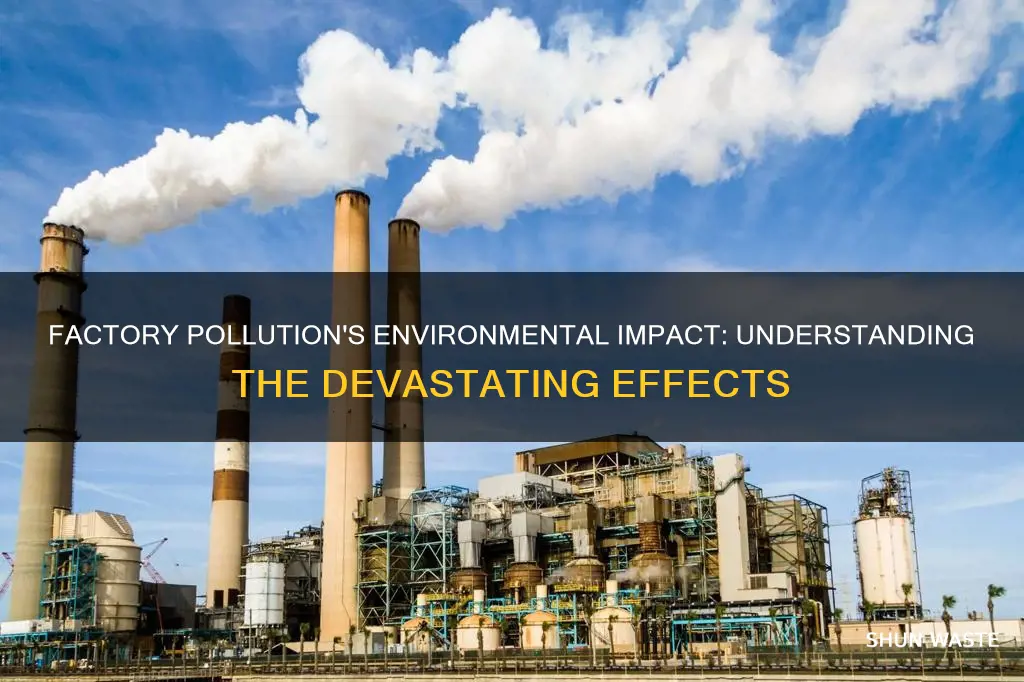 how does factory pollution affect the environment