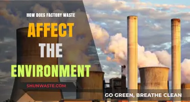 Factory Waste's Devastating Impact on Our Environment and Ecosystems