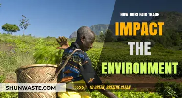 Fair Trade's Green Impact: Sustainable Practices for a Healthier Planet