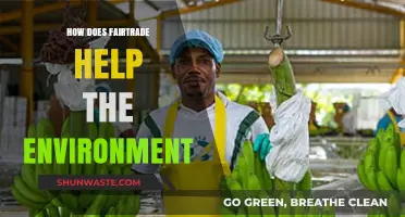 Fairtrade's Green Impact: Sustainable Practices for a Healthier Planet