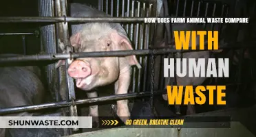 Farm Animal vs. Human Waste: Environmental Impact and Management Comparison