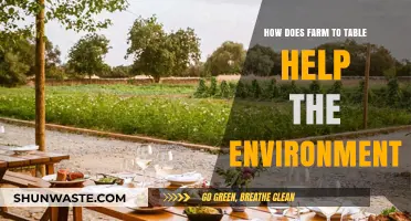 Farm to Table: Sustainable Practices for a Greener, Healthier Planet
