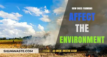 Farming's Environmental Impact: Challenges, Sustainability, and Future Solutions