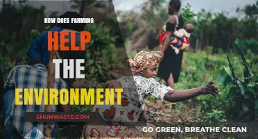 Sustainable Farming Practices: Boosting Ecosystems and Environmental Health Naturally