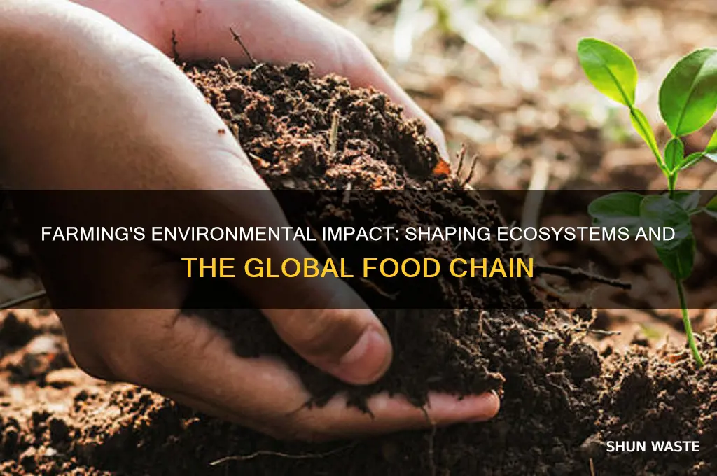 how does farming impact on the environment and food chain
