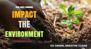 Farming's Environmental Footprint: Impacts, Challenges, and Sustainable Solutions