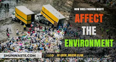 Fashion's Environmental Crisis: Unraveling the Impact of Clothing Waste