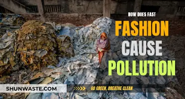 The Dark Side of Fast Fashion: Unveiling Its Environmental Impact