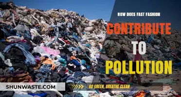Fast Fashion's Dark Side: Pollution and Environmental Harm