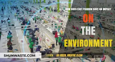 Fast Fashion's Environmental Toll: Unraveling the Hidden Ecological Consequences