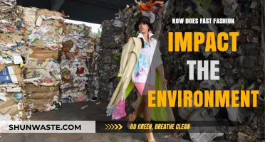 Fast Fashion's Environmental Toll: Pollution, Waste, and Unsustainable Practices