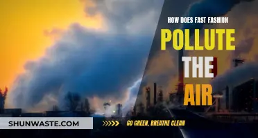 Fast Fashion's Air Pollution: The Unseen Cost of Style
