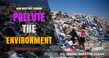 Fast Fashion's Environmental Impact: A Dark Side of Style