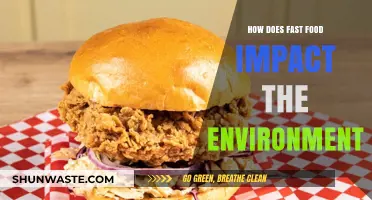 Fast Food's Hidden Costs: Environmental Impact and Sustainability Challenges