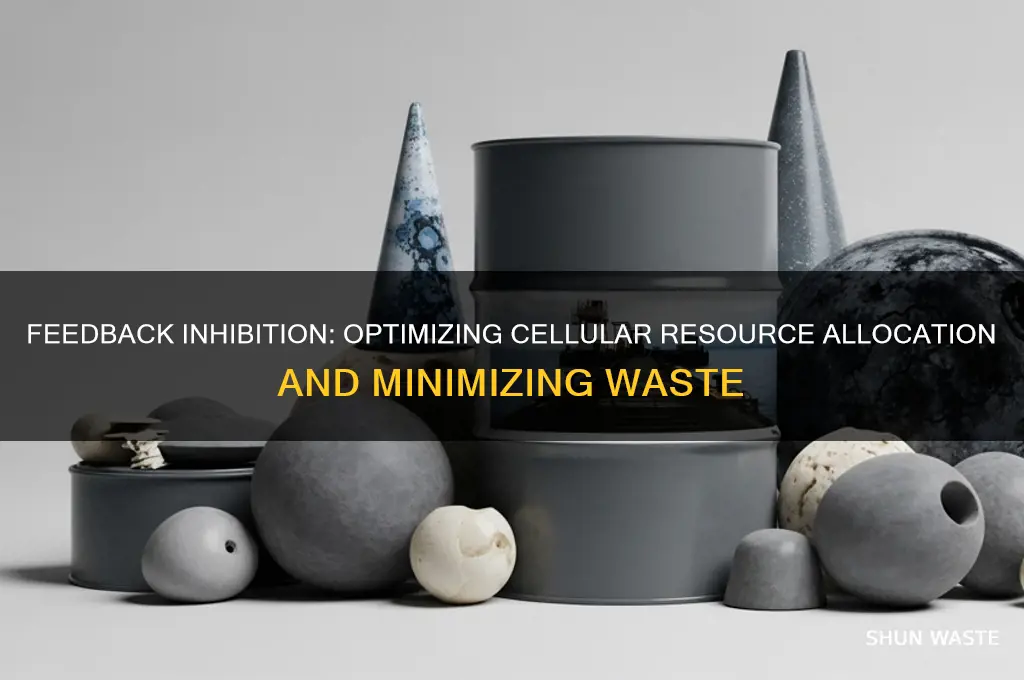 how does feedback inhibition reduce the waste of cellular resources