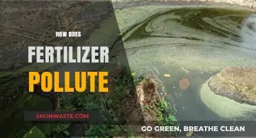 Fertilizer's Pollution: What, Why, and How?