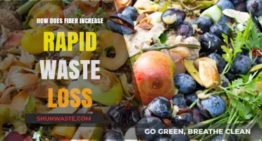 Boost Digestion: How Fiber Accelerates Rapid Waste Elimination Naturally