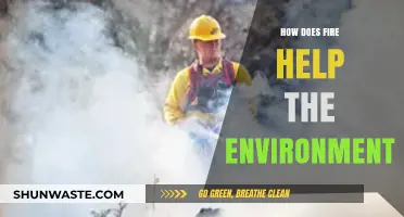 Fire's Surprising Role: Boosting Ecosystems and Environmental Health