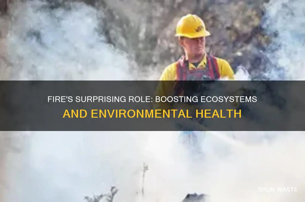 how does fire help the environment