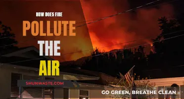 Fire's Air Pollution: A Burning Issue